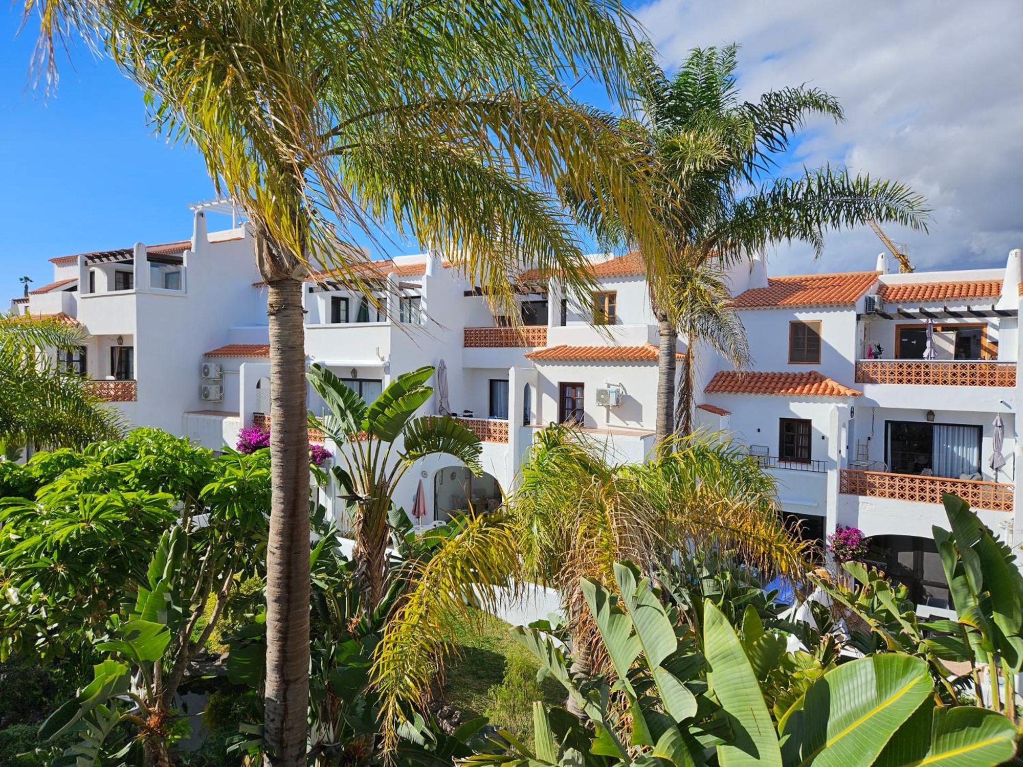 شقة Sunny Oasis Amarilla Golf سان ميغيل ذي أبونا المظهر الخارجي الصورة
